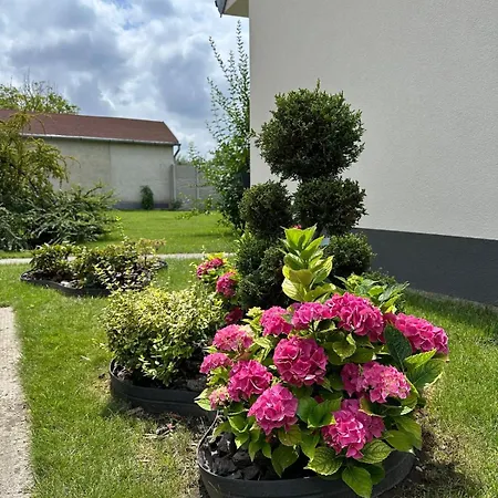 Ariel Apartment Velky Meder Exterior photo